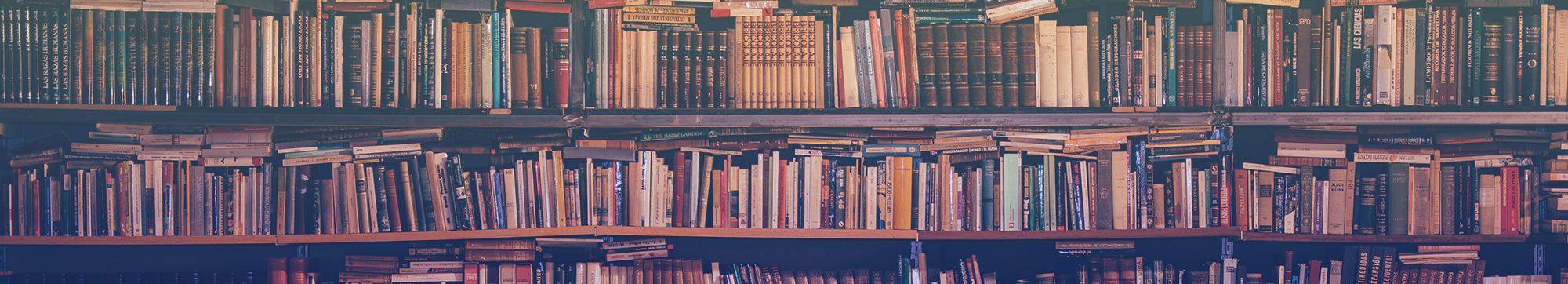 Book Reviews - RemiReads